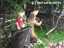 [P07] Humulesti - ursul pacalit de vulpe.... » foto by viviv
 - 
<span class="allrVoted glyphicon glyphicon-heart hidden" id="av80058"></span>
<a class="m-l-10 hidden" id="sv80058" onclick="voting_Foto_DelVot(,80058,3571)" role="button">șterge vot <span class="glyphicon glyphicon-remove"></span></a>
<a id="v980058" class=" c-red"  onclick="voting_Foto_SetVot(80058)" role="button"><span class="glyphicon glyphicon-heart-empty"></span> <b>LIKE</b> = Votează poza</a> <img class="hidden"  id="f80058W9" src="/imagini/loader.gif" border="0" /><span class="AjErrMes hidden" id="e80058ErM"></span>