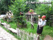 [P08] Humulesti - puguta cu doi bai... » foto by viviv
 - 
<span class="allrVoted glyphicon glyphicon-heart hidden" id="av80059"></span>
<a class="m-l-10 hidden" id="sv80059" onclick="voting_Foto_DelVot(,80059,3571)" role="button">șterge vot <span class="glyphicon glyphicon-remove"></span></a>
<a id="v980059" class=" c-red"  onclick="voting_Foto_SetVot(80059)" role="button"><span class="glyphicon glyphicon-heart-empty"></span> <b>LIKE</b> = Votează poza</a> <img class="hidden"  id="f80059W9" src="/imagini/loader.gif" border="0" /><span class="AjErrMes hidden" id="e80059ErM"></span>