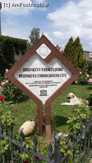 [P30]  -- <small>// FĂRĂ DESCRIERE</small> » foto by Bujie
 - 
<span class="allrVoted glyphicon glyphicon-heart hidden" id="av1089900"></span>
<a class="m-l-10 hidden" id="sv1089900" onclick="voting_Foto_DelVot(,1089900,3573)" role="button">șterge vot <span class="glyphicon glyphicon-remove"></span></a>
<a id="v91089900" class=" c-red"  onclick="voting_Foto_SetVot(1089900)" role="button"><span class="glyphicon glyphicon-heart-empty"></span> <b>LIKE</b> = Votează poza</a> <img class="hidden"  id="f1089900W9" src="/imagini/loader.gif" border="0" /><span class="AjErrMes hidden" id="e1089900ErM"></span>
