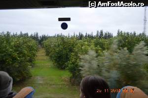 [P05] Go east, printre plantatii de citrice » foto by crismis
 - 
<span class="allrVoted glyphicon glyphicon-heart hidden" id="av579508"></span>
<a class="m-l-10 hidden" id="sv579508" onclick="voting_Foto_DelVot(,579508,3573)" role="button">șterge vot <span class="glyphicon glyphicon-remove"></span></a>
<a id="v9579508" class=" c-red"  onclick="voting_Foto_SetVot(579508)" role="button"><span class="glyphicon glyphicon-heart-empty"></span> <b>LIKE</b> = Votează poza</a> <img class="hidden"  id="f579508W9" src="/imagini/loader.gif" border="0" /><span class="AjErrMes hidden" id="e579508ErM"></span>