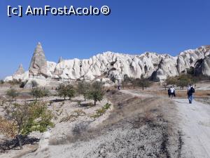 [P35] Excursie pe Valea Roșie și Roz, cu Jay. Am mers 14 km.  » foto by Aurici
 - 
<span class="allrVoted glyphicon glyphicon-heart hidden" id="av1056523"></span>
<a class="m-l-10 hidden" id="sv1056523" onclick="voting_Foto_DelVot(,1056523,3573)" role="button">șterge vot <span class="glyphicon glyphicon-remove"></span></a>
<a id="v91056523" class=" c-red"  onclick="voting_Foto_SetVot(1056523)" role="button"><span class="glyphicon glyphicon-heart-empty"></span> <b>LIKE</b> = Votează poza</a> <img class="hidden"  id="f1056523W9" src="/imagini/loader.gif" border="0" /><span class="AjErrMes hidden" id="e1056523ErM"></span>