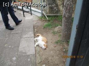 [P28] Avem încă un ghid. După ce a aprobat spusele lui Oktay, ne-a însoțit destul de mult pe vale, până la... păstrăvărie!  » foto by elviramvio
 - 
<span class="allrVoted glyphicon glyphicon-heart hidden" id="av960701"></span>
<a class="m-l-10 hidden" id="sv960701" onclick="voting_Foto_DelVot(,960701,3573)" role="button">șterge vot <span class="glyphicon glyphicon-remove"></span></a>
<a id="v9960701" class=" c-red"  onclick="voting_Foto_SetVot(960701)" role="button"><span class="glyphicon glyphicon-heart-empty"></span> <b>LIKE</b> = Votează poza</a> <img class="hidden"  id="f960701W9" src="/imagini/loader.gif" border="0" /><span class="AjErrMes hidden" id="e960701ErM"></span>