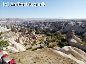 [P14] Cappadocia » foto by Marius 72
 - 
<span class="allrVoted glyphicon glyphicon-heart hidden" id="av1135688"></span>
<a class="m-l-10 hidden" id="sv1135688" onclick="voting_Foto_DelVot(,1135688,3573)" role="button">șterge vot <span class="glyphicon glyphicon-remove"></span></a>
<a id="v91135688" class=" c-red"  onclick="voting_Foto_SetVot(1135688)" role="button"><span class="glyphicon glyphicon-heart-empty"></span> <b>LIKE</b> = Votează poza</a> <img class="hidden"  id="f1135688W9" src="/imagini/loader.gif" border="0" /><span class="AjErrMes hidden" id="e1135688ErM"></span>