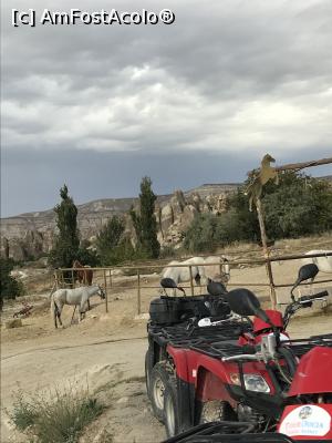 [P88] Cappadocia, caii nu sunt sălbatici, sunt chinuiți » foto by krisstinna
 - 
<span class="allrVoted glyphicon glyphicon-heart hidden" id="av1126271"></span>
<a class="m-l-10 hidden" id="sv1126271" onclick="voting_Foto_DelVot(,1126271,3573)" role="button">șterge vot <span class="glyphicon glyphicon-remove"></span></a>
<a id="v91126271" class=" c-red"  onclick="voting_Foto_SetVot(1126271)" role="button"><span class="glyphicon glyphicon-heart-empty"></span> <b>LIKE</b> = Votează poza</a> <img class="hidden"  id="f1126271W9" src="/imagini/loader.gif" border="0" /><span class="AjErrMes hidden" id="e1126271ErM"></span>