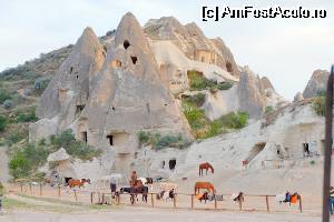 [P115] Iesirea din Goreme, spre Muzeul in aer liber - ranch, se pot inchiria cai pentru plimbare ecvestra » foto by nickro
 - 
<span class="allrVoted glyphicon glyphicon-heart hidden" id="av509784"></span>
<a class="m-l-10 hidden" id="sv509784" onclick="voting_Foto_DelVot(,509784,3573)" role="button">șterge vot <span class="glyphicon glyphicon-remove"></span></a>
<a id="v9509784" class=" c-red"  onclick="voting_Foto_SetVot(509784)" role="button"><span class="glyphicon glyphicon-heart-empty"></span> <b>LIKE</b> = Votează poza</a> <img class="hidden"  id="f509784W9" src="/imagini/loader.gif" border="0" /><span class="AjErrMes hidden" id="e509784ErM"></span>