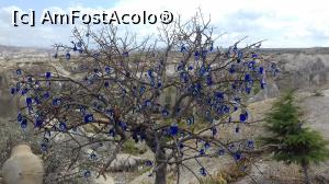 [P32] Copac cu dorinţe la unul dintre punctele de belvedere » foto by irinad
 - 
<span class="allrVoted glyphicon glyphicon-heart hidden" id="av909999"></span>
<a class="m-l-10 hidden" id="sv909999" onclick="voting_Foto_DelVot(,909999,3573)" role="button">șterge vot <span class="glyphicon glyphicon-remove"></span></a>
<a id="v9909999" class=" c-red"  onclick="voting_Foto_SetVot(909999)" role="button"><span class="glyphicon glyphicon-heart-empty"></span> <b>LIKE</b> = Votează poza</a> <img class="hidden"  id="f909999W9" src="/imagini/loader.gif" border="0" /><span class="AjErrMes hidden" id="e909999ErM"></span>