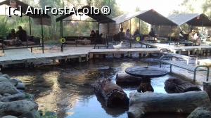 [P33] O răţuşcă la masa nr. 7 la unul dintre restaurantele din Valea Ihlara » foto by irinad
 - 
<span class="allrVoted glyphicon glyphicon-heart hidden" id="av910000"></span>
<a class="m-l-10 hidden" id="sv910000" onclick="voting_Foto_DelVot(,910000,3573)" role="button">șterge vot <span class="glyphicon glyphicon-remove"></span></a>
<a id="v9910000" class=" c-red"  onclick="voting_Foto_SetVot(910000)" role="button"><span class="glyphicon glyphicon-heart-empty"></span> <b>LIKE</b> = Votează poza</a> <img class="hidden"  id="f910000W9" src="/imagini/loader.gif" border="0" /><span class="AjErrMes hidden" id="e910000ErM"></span>