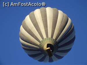 [P45] Un balon trecea uşor pe deasupra noastră » foto by irinad
 - 
<span class="allrVoted glyphicon glyphicon-heart hidden" id="av910012"></span>
<a class="m-l-10 hidden" id="sv910012" onclick="voting_Foto_DelVot(,910012,3573)" role="button">șterge vot <span class="glyphicon glyphicon-remove"></span></a>
<a id="v9910012" class=" c-red"  onclick="voting_Foto_SetVot(910012)" role="button"><span class="glyphicon glyphicon-heart-empty"></span> <b>LIKE</b> = Votează poza</a> <img class="hidden"  id="f910012W9" src="/imagini/loader.gif" border="0" /><span class="AjErrMes hidden" id="e910012ErM"></span>