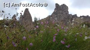 [P02] Flori de câmp şi conuri de la punctul de belvedere de lângă Paradise Valley » foto by irinad
 - 
<span class="allrVoted glyphicon glyphicon-heart hidden" id="av912202"></span>
<a class="m-l-10 hidden" id="sv912202" onclick="voting_Foto_DelVot(,912202,3573)" role="button">șterge vot <span class="glyphicon glyphicon-remove"></span></a>
<a id="v9912202" class=" c-red"  onclick="voting_Foto_SetVot(912202)" role="button"><span class="glyphicon glyphicon-heart-empty"></span> <b>LIKE</b> = Votează poza</a> <img class="hidden"  id="f912202W9" src="/imagini/loader.gif" border="0" /><span class="AjErrMes hidden" id="e912202ErM"></span>