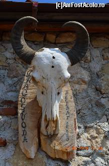 [P13] Trofeu dedicat lui Dragos Voda.  » foto by fregata
 - 
<span class="allrVoted glyphicon glyphicon-heart hidden" id="av459567"></span>
<a class="m-l-10 hidden" id="sv459567" onclick="voting_Foto_DelVot(,459567,3588)" role="button">șterge vot <span class="glyphicon glyphicon-remove"></span></a>
<a id="v9459567" class=" c-red"  onclick="voting_Foto_SetVot(459567)" role="button"><span class="glyphicon glyphicon-heart-empty"></span> <b>LIKE</b> = Votează poza</a> <img class="hidden"  id="f459567W9" src="/imagini/loader.gif" border="0" /><span class="AjErrMes hidden" id="e459567ErM"></span>