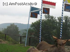 [P11] steaguri ale cetății » foto by zlatna
 - 
<span class="allrVoted glyphicon glyphicon-heart hidden" id="av914227"></span>
<a class="m-l-10 hidden" id="sv914227" onclick="voting_Foto_DelVot(,914227,3588)" role="button">șterge vot <span class="glyphicon glyphicon-remove"></span></a>
<a id="v9914227" class=" c-red"  onclick="voting_Foto_SetVot(914227)" role="button"><span class="glyphicon glyphicon-heart-empty"></span> <b>LIKE</b> = Votează poza</a> <img class="hidden"  id="f914227W9" src="/imagini/loader.gif" border="0" /><span class="AjErrMes hidden" id="e914227ErM"></span>
