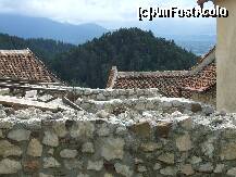 [P08] In fundal se vad mun.Piatra Craiului. » foto by iman
 - 
<span class="allrVoted glyphicon glyphicon-heart hidden" id="av163458"></span>
<a class="m-l-10 hidden" id="sv163458" onclick="voting_Foto_DelVot(,163458,3588)" role="button">șterge vot <span class="glyphicon glyphicon-remove"></span></a>
<a id="v9163458" class=" c-red"  onclick="voting_Foto_SetVot(163458)" role="button"><span class="glyphicon glyphicon-heart-empty"></span> <b>LIKE</b> = Votează poza</a> <img class="hidden"  id="f163458W9" src="/imagini/loader.gif" border="0" /><span class="AjErrMes hidden" id="e163458ErM"></span>