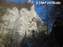 [P16] Intram in cheile Rasnoavei si admiram cativa pereti verticali, ideali pentru alpinism » foto by dorgo
 - 
<span class="allrVoted glyphicon glyphicon-heart hidden" id="av167146"></span>
<a class="m-l-10 hidden" id="sv167146" onclick="voting_Foto_DelVot(,167146,3588)" role="button">șterge vot <span class="glyphicon glyphicon-remove"></span></a>
<a id="v9167146" class=" c-red"  onclick="voting_Foto_SetVot(167146)" role="button"><span class="glyphicon glyphicon-heart-empty"></span> <b>LIKE</b> = Votează poza</a> <img class="hidden"  id="f167146W9" src="/imagini/loader.gif" border="0" /><span class="AjErrMes hidden" id="e167146ErM"></span>