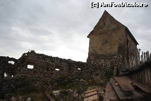 [P10]  -- <small>// FĂRĂ DESCRIERE</small> » foto by raly
 - 
<span class="allrVoted glyphicon glyphicon-heart hidden" id="av565242"></span>
<a class="m-l-10 hidden" id="sv565242" onclick="voting_Foto_DelVot(,565242,3588)" role="button">șterge vot <span class="glyphicon glyphicon-remove"></span></a>
<a id="v9565242" class=" c-red"  onclick="voting_Foto_SetVot(565242)" role="button"><span class="glyphicon glyphicon-heart-empty"></span> <b>LIKE</b> = Votează poza</a> <img class="hidden"  id="f565242W9" src="/imagini/loader.gif" border="0" /><span class="AjErrMes hidden" id="e565242ErM"></span>