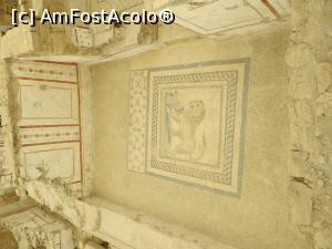 [P10] Casele terasate - mozaic. » foto by tata123 🔱
 - 
<span class="allrVoted glyphicon glyphicon-heart hidden" id="av1163849"></span>
<a class="m-l-10 hidden" id="sv1163849" onclick="voting_Foto_DelVot(,1163849,3592)" role="button">șterge vot <span class="glyphicon glyphicon-remove"></span></a>
<a id="v91163849" class=" c-red"  onclick="voting_Foto_SetVot(1163849)" role="button"><span class="glyphicon glyphicon-heart-empty"></span> <b>LIKE</b> = Votează poza</a> <img class="hidden"  id="f1163849W9" src="/imagini/loader.gif" border="0" /><span class="AjErrMes hidden" id="e1163849ErM"></span>