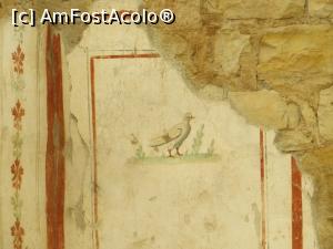 [P11] Casele terasate - frescă. » foto by tata123 🔱
 - 
<span class="allrVoted glyphicon glyphicon-heart hidden" id="av1163851"></span>
<a class="m-l-10 hidden" id="sv1163851" onclick="voting_Foto_DelVot(,1163851,3592)" role="button">șterge vot <span class="glyphicon glyphicon-remove"></span></a>
<a id="v91163851" class=" c-red"  onclick="voting_Foto_SetVot(1163851)" role="button"><span class="glyphicon glyphicon-heart-empty"></span> <b>LIKE</b> = Votează poza</a> <img class="hidden"  id="f1163851W9" src="/imagini/loader.gif" border="0" /><span class="AjErrMes hidden" id="e1163851ErM"></span>