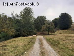 [P02] Cărarea ce duce spre piramide. » foto by Daisy Petal
 - 
<span class="allrVoted glyphicon glyphicon-heart hidden" id="av1204197"></span>
<a class="m-l-10 hidden" id="sv1204197" onclick="voting_Foto_DelVot(,1204197,3601)" role="button">șterge vot <span class="glyphicon glyphicon-remove"></span></a>
<a id="v91204197" class=" c-red"  onclick="voting_Foto_SetVot(1204197)" role="button"><span class="glyphicon glyphicon-heart-empty"></span> <b>LIKE</b> = Votează poza</a> <img class="hidden"  id="f1204197W9" src="/imagini/loader.gif" border="0" /><span class="AjErrMes hidden" id="e1204197ErM"></span>