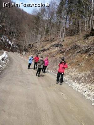 [P17] Cheile Bistriței, V&acirc;lcea » foto by Mioritik
 - 
<span class="allrVoted glyphicon glyphicon-heart hidden" id="av1288978"></span>
<a class="m-l-10 hidden" id="sv1288978" onclick="voting_Foto_DelVot(,1288978,3601)" role="button">șterge vot <span class="glyphicon glyphicon-remove"></span></a>
<a id="v91288978" class=" c-red"  onclick="voting_Foto_SetVot(1288978)" role="button"><span class="glyphicon glyphicon-heart-empty"></span> <b>LIKE</b> = Votează poza</a> <img class="hidden"  id="f1288978W9" src="/imagini/loader.gif" border="0" /><span class="AjErrMes hidden" id="e1288978ErM"></span>