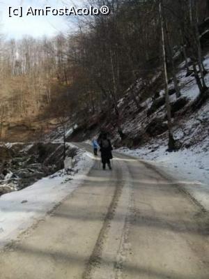 [P19] Cheile Bistriței, V&acirc;lcea » foto by Mioritik
 - 
<span class="allrVoted glyphicon glyphicon-heart hidden" id="av1288980"></span>
<a class="m-l-10 hidden" id="sv1288980" onclick="voting_Foto_DelVot(,1288980,3601)" role="button">șterge vot <span class="glyphicon glyphicon-remove"></span></a>
<a id="v91288980" class=" c-red"  onclick="voting_Foto_SetVot(1288980)" role="button"><span class="glyphicon glyphicon-heart-empty"></span> <b>LIKE</b> = Votează poza</a> <img class="hidden"  id="f1288980W9" src="/imagini/loader.gif" border="0" /><span class="AjErrMes hidden" id="e1288980ErM"></span>