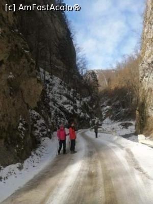 [P02] Cheile Bistriței, V&acirc;lcea » foto by Mioritik
 - 
<span class="allrVoted glyphicon glyphicon-heart hidden" id="av1288963"></span>
<a class="m-l-10 hidden" id="sv1288963" onclick="voting_Foto_DelVot(,1288963,3601)" role="button">șterge vot <span class="glyphicon glyphicon-remove"></span></a>
<a id="v91288963" class=" c-red"  onclick="voting_Foto_SetVot(1288963)" role="button"><span class="glyphicon glyphicon-heart-empty"></span> <b>LIKE</b> = Votează poza</a> <img class="hidden"  id="f1288963W9" src="/imagini/loader.gif" border="0" /><span class="AjErrMes hidden" id="e1288963ErM"></span>