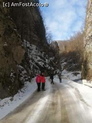 [P22] Cheile Bistriței, V&acirc;lcea » foto by Mioritik
 - 
<span class="allrVoted glyphicon glyphicon-heart hidden" id="av1288983"></span>
<a class="m-l-10 hidden" id="sv1288983" onclick="voting_Foto_DelVot(,1288983,3601)" role="button">șterge vot <span class="glyphicon glyphicon-remove"></span></a>
<a id="v91288983" class=" c-red"  onclick="voting_Foto_SetVot(1288983)" role="button"><span class="glyphicon glyphicon-heart-empty"></span> <b>LIKE</b> = Votează poza</a> <img class="hidden"  id="f1288983W9" src="/imagini/loader.gif" border="0" /><span class="AjErrMes hidden" id="e1288983ErM"></span>