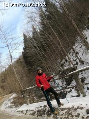 [P23] Cheile Bistriței, V&acirc;lcea » foto by Mioritik
 - 
<span class="allrVoted glyphicon glyphicon-heart hidden" id="av1288984"></span>
<a class="m-l-10 hidden" id="sv1288984" onclick="voting_Foto_DelVot(,1288984,3601)" role="button">șterge vot <span class="glyphicon glyphicon-remove"></span></a>
<a id="v91288984" class=" c-red"  onclick="voting_Foto_SetVot(1288984)" role="button"><span class="glyphicon glyphicon-heart-empty"></span> <b>LIKE</b> = Votează poza</a> <img class="hidden"  id="f1288984W9" src="/imagini/loader.gif" border="0" /><span class="AjErrMes hidden" id="e1288984ErM"></span>