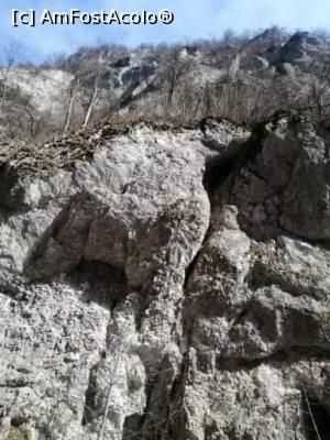 [P04] Cheile Bistriței, V&acirc;lcea » foto by Mioritik
 - 
<span class="allrVoted glyphicon glyphicon-heart hidden" id="av1288965"></span>
<a class="m-l-10 hidden" id="sv1288965" onclick="voting_Foto_DelVot(,1288965,3601)" role="button">șterge vot <span class="glyphicon glyphicon-remove"></span></a>
<a id="v91288965" class=" c-red"  onclick="voting_Foto_SetVot(1288965)" role="button"><span class="glyphicon glyphicon-heart-empty"></span> <b>LIKE</b> = Votează poza</a> <img class="hidden"  id="f1288965W9" src="/imagini/loader.gif" border="0" /><span class="AjErrMes hidden" id="e1288965ErM"></span>