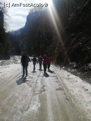 [P07] Cheile Bistriței, V&acirc;lcea » foto by Mioritik
 - 
<span class="allrVoted glyphicon glyphicon-heart hidden" id="av1288968"></span>
<a class="m-l-10 hidden" id="sv1288968" onclick="voting_Foto_DelVot(,1288968,3601)" role="button">șterge vot <span class="glyphicon glyphicon-remove"></span></a>
<a id="v91288968" class=" c-red"  onclick="voting_Foto_SetVot(1288968)" role="button"><span class="glyphicon glyphicon-heart-empty"></span> <b>LIKE</b> = Votează poza</a> <img class="hidden"  id="f1288968W9" src="/imagini/loader.gif" border="0" /><span class="AjErrMes hidden" id="e1288968ErM"></span>