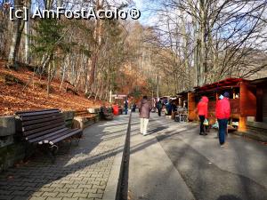 [P29] Băile Olănești; bazar pe aleea izvoarelor » foto by crismis
 - 
<span class="allrVoted glyphicon glyphicon-heart hidden" id="av1277814"></span>
<a class="m-l-10 hidden" id="sv1277814" onclick="voting_Foto_DelVot(,1277814,3601)" role="button">șterge vot <span class="glyphicon glyphicon-remove"></span></a>
<a id="v91277814" class=" c-red"  onclick="voting_Foto_SetVot(1277814)" role="button"><span class="glyphicon glyphicon-heart-empty"></span> <b>LIKE</b> = Votează poza</a> <img class="hidden"  id="f1277814W9" src="/imagini/loader.gif" border="0" /><span class="AjErrMes hidden" id="e1277814ErM"></span>