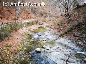 [P36] R&acirc;ul Olănești » foto by crismis
 - 
<span class="allrVoted glyphicon glyphicon-heart hidden" id="av1277821"></span>
<a class="m-l-10 hidden" id="sv1277821" onclick="voting_Foto_DelVot(,1277821,3601)" role="button">șterge vot <span class="glyphicon glyphicon-remove"></span></a>
<a id="v91277821" class=" c-red"  onclick="voting_Foto_SetVot(1277821)" role="button"><span class="glyphicon glyphicon-heart-empty"></span> <b>LIKE</b> = Votează poza</a> <img class="hidden"  id="f1277821W9" src="/imagini/loader.gif" border="0" /><span class="AjErrMes hidden" id="e1277821ErM"></span>