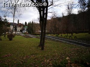 [P52] Băile Govora; &icirc;n parc » foto by crismis
 - 
<span class="allrVoted glyphicon glyphicon-heart hidden" id="av1277837"></span>
<a class="m-l-10 hidden" id="sv1277837" onclick="voting_Foto_DelVot(,1277837,3601)" role="button">șterge vot <span class="glyphicon glyphicon-remove"></span></a>
<a id="v91277837" class=" c-red"  onclick="voting_Foto_SetVot(1277837)" role="button"><span class="glyphicon glyphicon-heart-empty"></span> <b>LIKE</b> = Votează poza</a> <img class="hidden"  id="f1277837W9" src="/imagini/loader.gif" border="0" /><span class="AjErrMes hidden" id="e1277837ErM"></span>