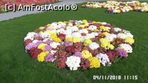 [P01] Parcul Zăvoi, Râmnicu Vâlcea » foto by ungureanica
 - 
<span class="allrVoted glyphicon glyphicon-heart hidden" id="av1030676"></span>
<a class="m-l-10 hidden" id="sv1030676" onclick="voting_Foto_DelVot(,1030676,3601)" role="button">șterge vot <span class="glyphicon glyphicon-remove"></span></a>
<a id="v91030676" class=" c-red"  onclick="voting_Foto_SetVot(1030676)" role="button"><span class="glyphicon glyphicon-heart-empty"></span> <b>LIKE</b> = Votează poza</a> <img class="hidden"  id="f1030676W9" src="/imagini/loader.gif" border="0" /><span class="AjErrMes hidden" id="e1030676ErM"></span>