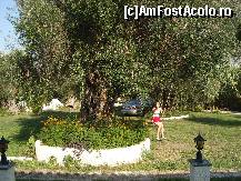 [P16] Leaganul, locul meu preferat de joaca, Apart-Hotel Fire Fly, Moraitika, Corfu » foto by ancamariagadea*
 - 
<span class="allrVoted glyphicon glyphicon-heart hidden" id="av161968"></span>
<a class="m-l-10 hidden" id="sv161968" onclick="voting_Foto_DelVot(,161968,3604)" role="button">șterge vot <span class="glyphicon glyphicon-remove"></span></a>
<a id="v9161968" class=" c-red"  onclick="voting_Foto_SetVot(161968)" role="button"><span class="glyphicon glyphicon-heart-empty"></span> <b>LIKE</b> = Votează poza</a> <img class="hidden"  id="f161968W9" src="/imagini/loader.gif" border="0" /><span class="AjErrMes hidden" id="e161968ErM"></span>