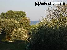 [P19] Vedere de pe terasa camerei noastre, Apart-Hotel Fire Fly, Moraitika, Corfu » foto by ancamariagadea*
 - 
<span class="allrVoted glyphicon glyphicon-heart hidden" id="av161971"></span>
<a class="m-l-10 hidden" id="sv161971" onclick="voting_Foto_DelVot(,161971,3604)" role="button">șterge vot <span class="glyphicon glyphicon-remove"></span></a>
<a id="v9161971" class=" c-red"  onclick="voting_Foto_SetVot(161971)" role="button"><span class="glyphicon glyphicon-heart-empty"></span> <b>LIKE</b> = Votează poza</a> <img class="hidden"  id="f161971W9" src="/imagini/loader.gif" border="0" /><span class="AjErrMes hidden" id="e161971ErM"></span>