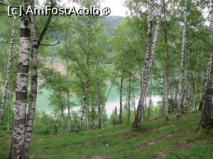 [P15] Oglinda lacului Măneciu (2015). » foto by tata123 🔱
 - 
<span class="allrVoted glyphicon glyphicon-heart hidden" id="av1409476"></span>
<a class="m-l-10 hidden" id="sv1409476" onclick="voting_Foto_DelVot(,1409476,3607)" role="button">șterge vot <span class="glyphicon glyphicon-remove"></span></a>
<a id="v91409476" class=" c-red"  onclick="voting_Foto_SetVot(1409476)" role="button"><span class="glyphicon glyphicon-heart-empty"></span> <b>LIKE</b> = Votează poza</a> <img class="hidden"  id="f1409476W9" src="/imagini/loader.gif" border="0" /><span class="AjErrMes hidden" id="e1409476ErM"></span>