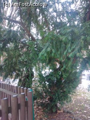 [P15] Parcul Nicolae Titulescu, Brașov » foto by Mioritik
 - 
<span class="allrVoted glyphicon glyphicon-heart hidden" id="av1291511"></span>
<a class="m-l-10 hidden" id="sv1291511" onclick="voting_Foto_DelVot(,1291511,3615)" role="button">șterge vot <span class="glyphicon glyphicon-remove"></span></a>
<a id="v91291511" class=" c-red"  onclick="voting_Foto_SetVot(1291511)" role="button"><span class="glyphicon glyphicon-heart-empty"></span> <b>LIKE</b> = Votează poza</a> <img class="hidden"  id="f1291511W9" src="/imagini/loader.gif" border="0" /><span class="AjErrMes hidden" id="e1291511ErM"></span>