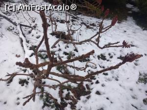 [P02] Parcul Nicolae Titulescu, Brașov » foto by Mioritik
 - 
<span class="allrVoted glyphicon glyphicon-heart hidden" id="av1291498"></span>
<a class="m-l-10 hidden" id="sv1291498" onclick="voting_Foto_DelVot(,1291498,3615)" role="button">șterge vot <span class="glyphicon glyphicon-remove"></span></a>
<a id="v91291498" class=" c-red"  onclick="voting_Foto_SetVot(1291498)" role="button"><span class="glyphicon glyphicon-heart-empty"></span> <b>LIKE</b> = Votează poza</a> <img class="hidden"  id="f1291498W9" src="/imagini/loader.gif" border="0" /><span class="AjErrMes hidden" id="e1291498ErM"></span>