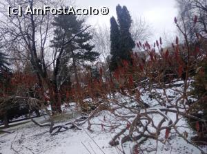 [P03] Parcul Nicolae Titulescu, Brașov » foto by Mioritik
 - 
<span class="allrVoted glyphicon glyphicon-heart hidden" id="av1291499"></span>
<a class="m-l-10 hidden" id="sv1291499" onclick="voting_Foto_DelVot(,1291499,3615)" role="button">șterge vot <span class="glyphicon glyphicon-remove"></span></a>
<a id="v91291499" class=" c-red"  onclick="voting_Foto_SetVot(1291499)" role="button"><span class="glyphicon glyphicon-heart-empty"></span> <b>LIKE</b> = Votează poza</a> <img class="hidden"  id="f1291499W9" src="/imagini/loader.gif" border="0" /><span class="AjErrMes hidden" id="e1291499ErM"></span>