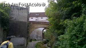 [P15] Bastionul Graft și vegetația bogată din dreapta.  » foto by maryka
 - 
<span class="allrVoted glyphicon glyphicon-heart hidden" id="av773621"></span>
<a class="m-l-10 hidden" id="sv773621" onclick="voting_Foto_DelVot(,773621,3615)" role="button">șterge vot <span class="glyphicon glyphicon-remove"></span></a>
<a id="v9773621" class=" c-red"  onclick="voting_Foto_SetVot(773621)" role="button"><span class="glyphicon glyphicon-heart-empty"></span> <b>LIKE</b> = Votează poza</a> <img class="hidden"  id="f773621W9" src="/imagini/loader.gif" border="0" /><span class="AjErrMes hidden" id="e773621ErM"></span>