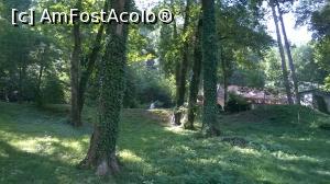 [P17] Copaci „îmbrăcați' în iederă pe aleea de sub Tâmpa.  » foto by maryka
 - 
<span class="allrVoted glyphicon glyphicon-heart hidden" id="av773624"></span>
<a class="m-l-10 hidden" id="sv773624" onclick="voting_Foto_DelVot(,773624,3615)" role="button">șterge vot <span class="glyphicon glyphicon-remove"></span></a>
<a id="v9773624" class=" c-red"  onclick="voting_Foto_SetVot(773624)" role="button"><span class="glyphicon glyphicon-heart-empty"></span> <b>LIKE</b> = Votează poza</a> <img class="hidden"  id="f773624W9" src="/imagini/loader.gif" border="0" /><span class="AjErrMes hidden" id="e773624ErM"></span>