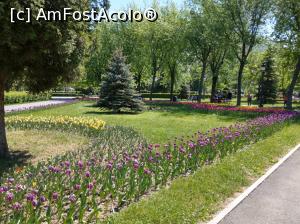 [P19] Prin parc.  » foto by maryka
 - 
<span class="allrVoted glyphicon glyphicon-heart hidden" id="av962424"></span>
<a class="m-l-10 hidden" id="sv962424" onclick="voting_Foto_DelVot(,962424,3615)" role="button">șterge vot <span class="glyphicon glyphicon-remove"></span></a>
<a id="v9962424" class=" c-red"  onclick="voting_Foto_SetVot(962424)" role="button"><span class="glyphicon glyphicon-heart-empty"></span> <b>LIKE</b> = Votează poza</a> <img class="hidden"  id="f962424W9" src="/imagini/loader.gif" border="0" /><span class="AjErrMes hidden" id="e962424ErM"></span>