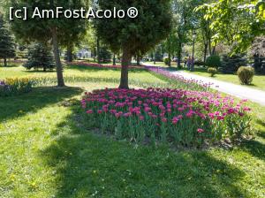 [P02] Culori și umbre în parc.  » foto by maryka
 - 
<span class="allrVoted glyphicon glyphicon-heart hidden" id="av962407"></span>
<a class="m-l-10 hidden" id="sv962407" onclick="voting_Foto_DelVot(,962407,3615)" role="button">șterge vot <span class="glyphicon glyphicon-remove"></span></a>
<a id="v9962407" class=" c-red"  onclick="voting_Foto_SetVot(962407)" role="button"><span class="glyphicon glyphicon-heart-empty"></span> <b>LIKE</b> = Votează poza</a> <img class="hidden"  id="f962407W9" src="/imagini/loader.gif" border="0" /><span class="AjErrMes hidden" id="e962407ErM"></span>