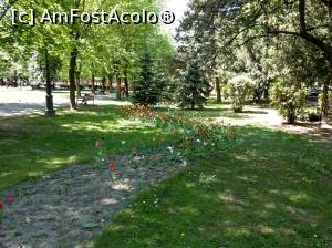 [P41] La pas prin parc. » foto by maryka
 - 
<span class="allrVoted glyphicon glyphicon-heart hidden" id="av962446"></span>
<a class="m-l-10 hidden" id="sv962446" onclick="voting_Foto_DelVot(,962446,3615)" role="button">șterge vot <span class="glyphicon glyphicon-remove"></span></a>
<a id="v9962446" class=" c-red"  onclick="voting_Foto_SetVot(962446)" role="button"><span class="glyphicon glyphicon-heart-empty"></span> <b>LIKE</b> = Votează poza</a> <img class="hidden"  id="f962446W9" src="/imagini/loader.gif" border="0" /><span class="AjErrMes hidden" id="e962446ErM"></span>