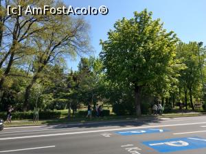 [P52] Aleea parcului, văzută de la Cercul Militar.  » foto by maryka
 - 
<span class="allrVoted glyphicon glyphicon-heart hidden" id="av962457"></span>
<a class="m-l-10 hidden" id="sv962457" onclick="voting_Foto_DelVot(,962457,3615)" role="button">șterge vot <span class="glyphicon glyphicon-remove"></span></a>
<a id="v9962457" class=" c-red"  onclick="voting_Foto_SetVot(962457)" role="button"><span class="glyphicon glyphicon-heart-empty"></span> <b>LIKE</b> = Votează poza</a> <img class="hidden"  id="f962457W9" src="/imagini/loader.gif" border="0" /><span class="AjErrMes hidden" id="e962457ErM"></span>