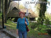 [P20] In parcul de la Bran-case taranesti » foto by mcosmin
 - 
<span class="allrVoted glyphicon glyphicon-heart hidden" id="av34563"></span>
<a class="m-l-10 hidden" id="sv34563" onclick="voting_Foto_DelVot(,34563,3615)" role="button">șterge vot <span class="glyphicon glyphicon-remove"></span></a>
<a id="v934563" class=" c-red"  onclick="voting_Foto_SetVot(34563)" role="button"><span class="glyphicon glyphicon-heart-empty"></span> <b>LIKE</b> = Votează poza</a> <img class="hidden"  id="f34563W9" src="/imagini/loader.gif" border="0" /><span class="AjErrMes hidden" id="e34563ErM"></span>