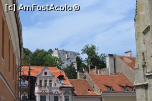 [P25] Brașov-în fundal Turnul Alb » foto by AZE
 - 
<span class="allrVoted glyphicon glyphicon-heart hidden" id="av1106478"></span>
<a class="m-l-10 hidden" id="sv1106478" onclick="voting_Foto_DelVot(,1106478,3615)" role="button">șterge vot <span class="glyphicon glyphicon-remove"></span></a>
<a id="v91106478" class=" c-red"  onclick="voting_Foto_SetVot(1106478)" role="button"><span class="glyphicon glyphicon-heart-empty"></span> <b>LIKE</b> = Votează poza</a> <img class="hidden"  id="f1106478W9" src="/imagini/loader.gif" border="0" /><span class="AjErrMes hidden" id="e1106478ErM"></span>