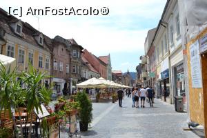 [P05] Și palmierii au ieșit pe strada Republicii » foto by AZE
 - 
<span class="allrVoted glyphicon glyphicon-heart hidden" id="av1106458"></span>
<a class="m-l-10 hidden" id="sv1106458" onclick="voting_Foto_DelVot(,1106458,3615)" role="button">șterge vot <span class="glyphicon glyphicon-remove"></span></a>
<a id="v91106458" class=" c-red"  onclick="voting_Foto_SetVot(1106458)" role="button"><span class="glyphicon glyphicon-heart-empty"></span> <b>LIKE</b> = Votează poza</a> <img class="hidden"  id="f1106458W9" src="/imagini/loader.gif" border="0" /><span class="AjErrMes hidden" id="e1106458ErM"></span>