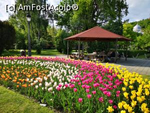 [P53] Primăvară în Brașov; parcul N. Titulescu » foto by crismis
 - 
<span class="allrVoted glyphicon glyphicon-heart hidden" id="av1298775"></span>
<a class="m-l-10 hidden" id="sv1298775" onclick="voting_Foto_DelVot(,1298775,3615)" role="button">șterge vot <span class="glyphicon glyphicon-remove"></span></a>
<a id="v91298775" class=" c-red"  onclick="voting_Foto_SetVot(1298775)" role="button"><span class="glyphicon glyphicon-heart-empty"></span> <b>LIKE</b> = Votează poza</a> <img class="hidden"  id="f1298775W9" src="/imagini/loader.gif" border="0" /><span class="AjErrMes hidden" id="e1298775ErM"></span>