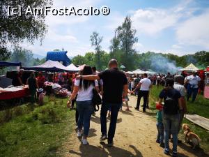 [P74] Festivalul Narciselor » foto by crismis
 - 
<span class="allrVoted glyphicon glyphicon-heart hidden" id="av1298796"></span>
<a class="m-l-10 hidden" id="sv1298796" onclick="voting_Foto_DelVot(,1298796,3615)" role="button">șterge vot <span class="glyphicon glyphicon-remove"></span></a>
<a id="v91298796" class=" c-red"  onclick="voting_Foto_SetVot(1298796)" role="button"><span class="glyphicon glyphicon-heart-empty"></span> <b>LIKE</b> = Votează poza</a> <img class="hidden"  id="f1298796W9" src="/imagini/loader.gif" border="0" /><span class="AjErrMes hidden" id="e1298796ErM"></span>