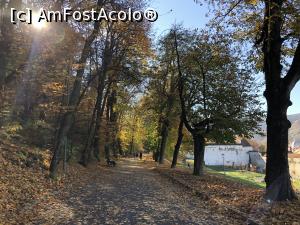[P23] Brasov- Promenada de sub Tampa » foto by mishu
 - 
<span class="allrVoted glyphicon glyphicon-heart hidden" id="av1281738"></span>
<a class="m-l-10 hidden" id="sv1281738" onclick="voting_Foto_DelVot(,1281738,3615)" role="button">șterge vot <span class="glyphicon glyphicon-remove"></span></a>
<a id="v91281738" class=" c-red"  onclick="voting_Foto_SetVot(1281738)" role="button"><span class="glyphicon glyphicon-heart-empty"></span> <b>LIKE</b> = Votează poza</a> <img class="hidden"  id="f1281738W9" src="/imagini/loader.gif" border="0" /><span class="AjErrMes hidden" id="e1281738ErM"></span>